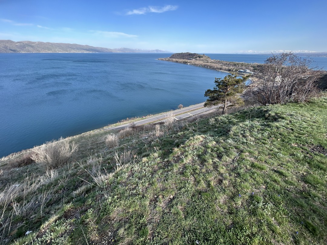 Из множества вариантов интуитивно выбрали экскурсию с Левоном. С первых же минут общения с ним поняли,