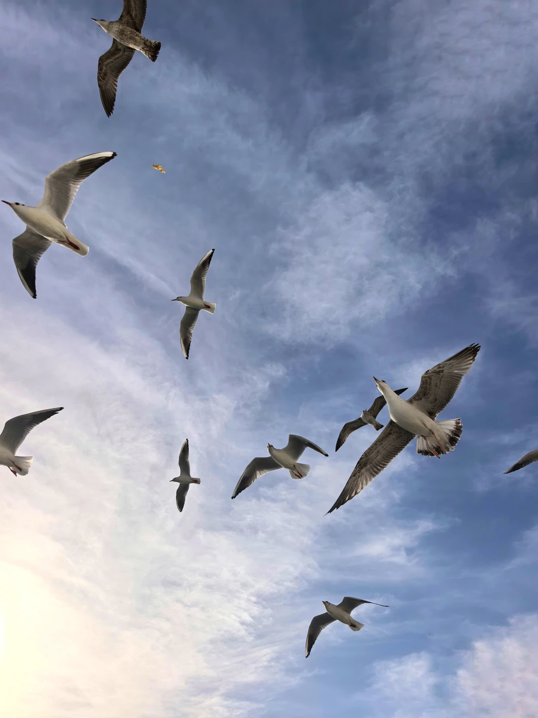 Огромная благодарность от нас с мужем с Майей за экскурсию "Азбука вкусов Стамбула"! Майя как уверенный