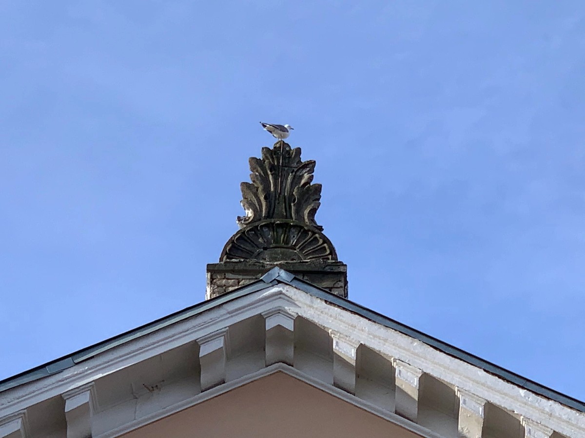 100 деталей Ярославля (7/12)