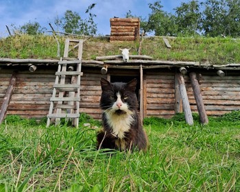 На драккаре по Ладожским шхерам, мастер-класс и финальный пир