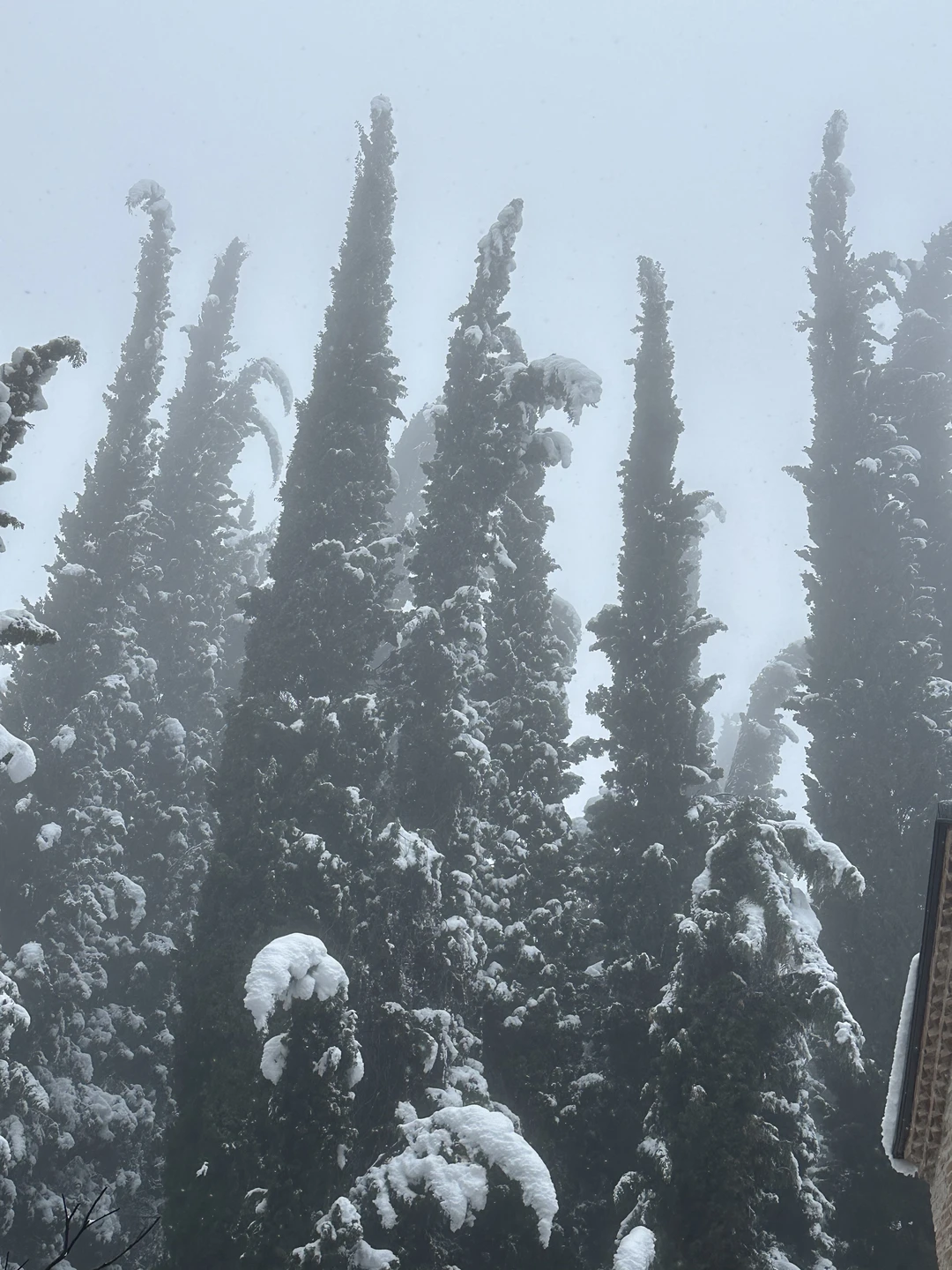 Кахетия: вино, легенды и красота (в группе) (Екатерина)