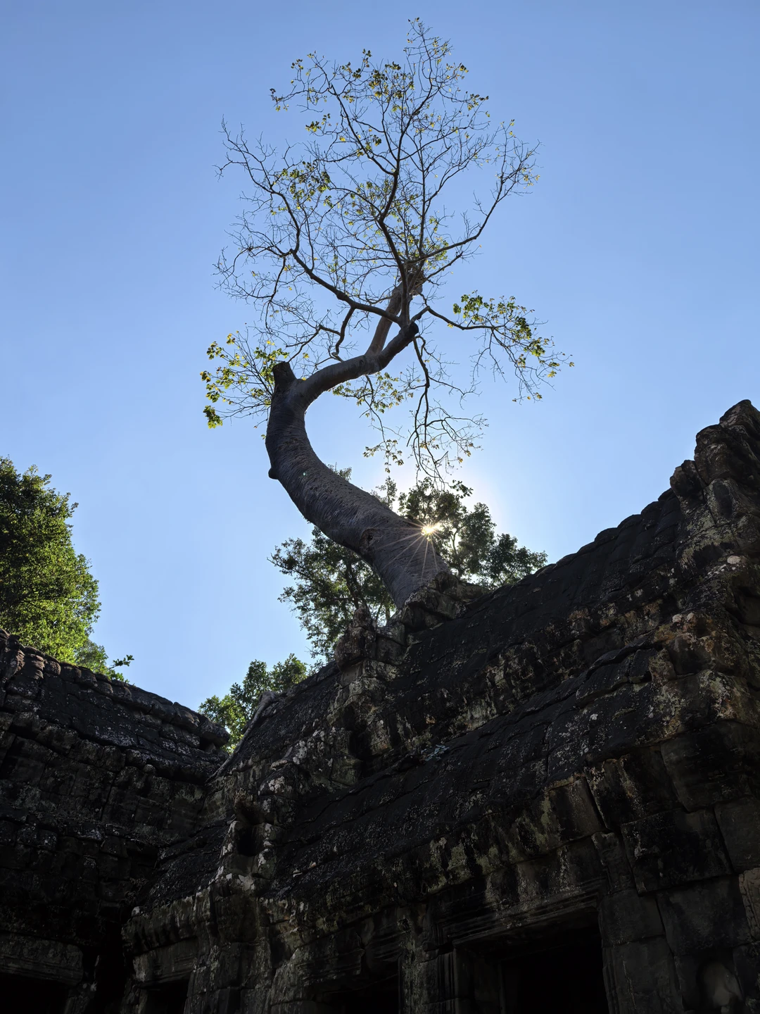 Экскурсия супер и сама по себе и по организации. Большое спасибо Татьяне и мистеру Сараченту за