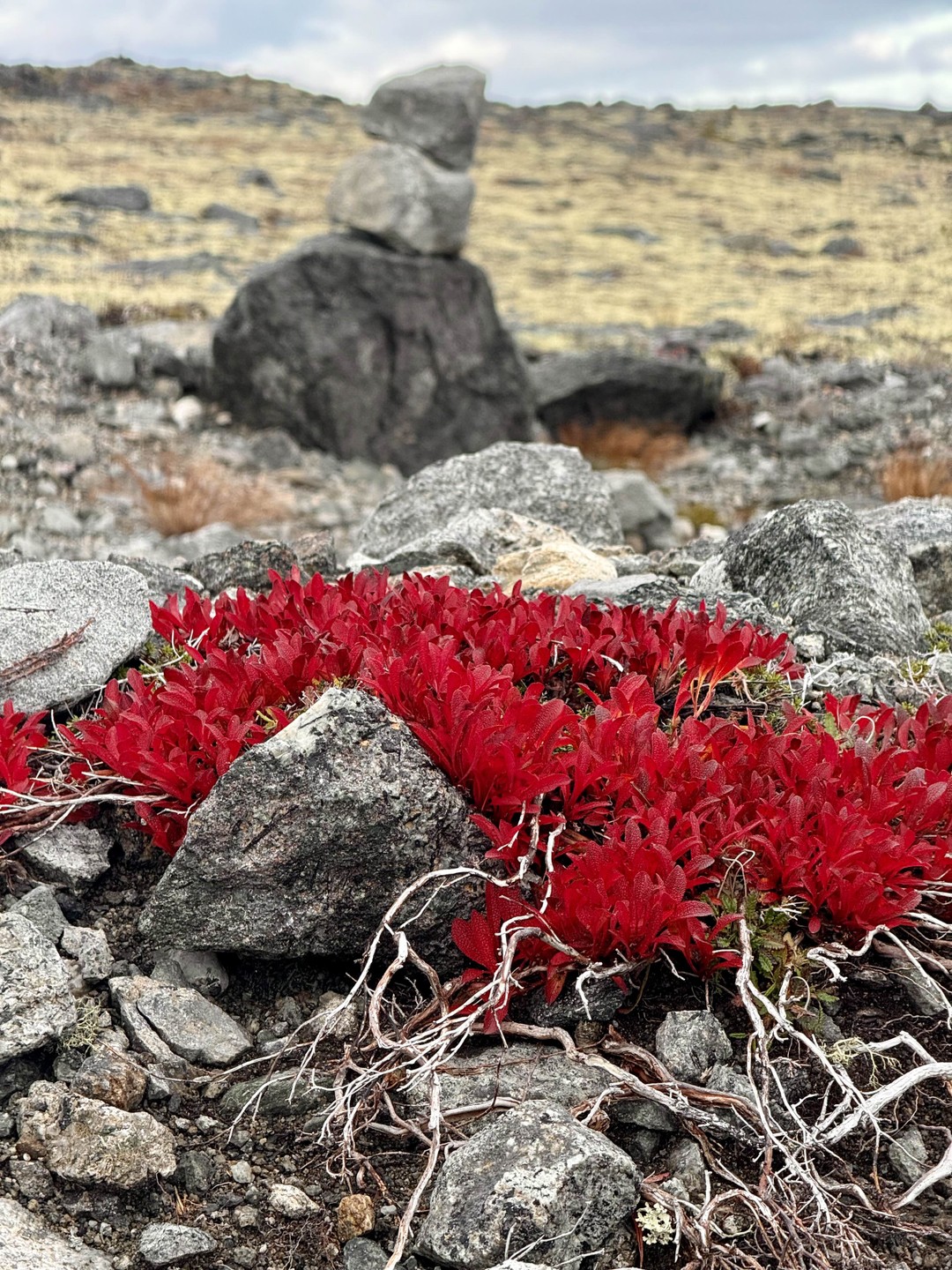 Это не экскурсия, а самый настоящий поход и целое приключение, которое надолго остаётся в памяти. За