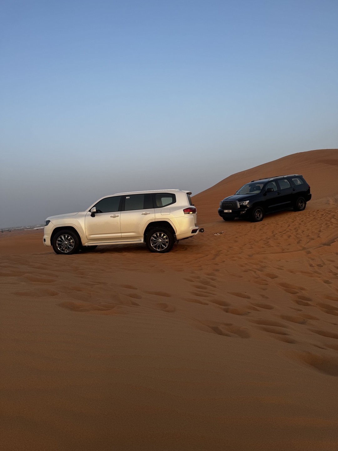 Были на экскурсии 03.03.2026, безумно понравилось! В связи с отменой многих рейсов в Дубай, туристы из