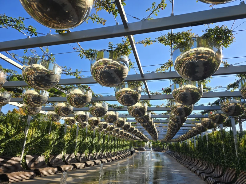 Парк Галицкого: прогулка по саду будущего в Краснодаре