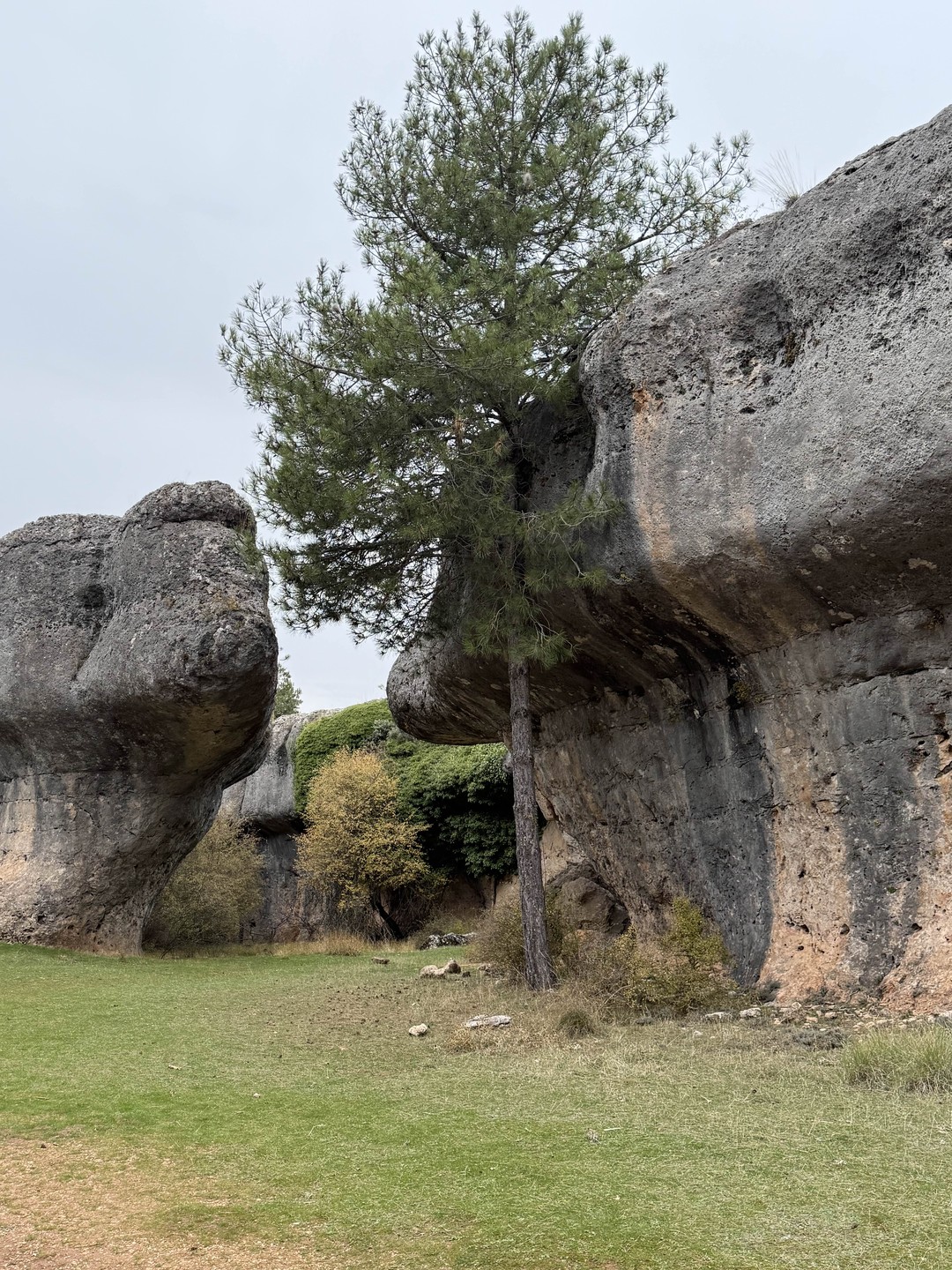 Красота невероятная!