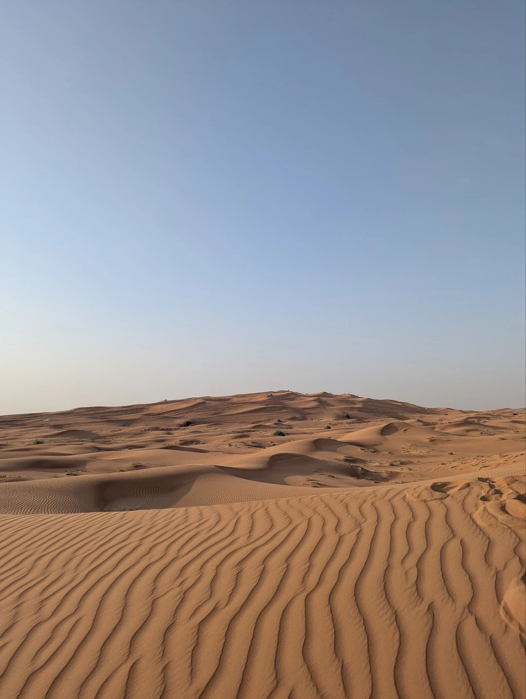 Отличное предложение за адекватные деньги! Искал возможность побывать в пустыне и прочувствовать её атмосферу. С этим