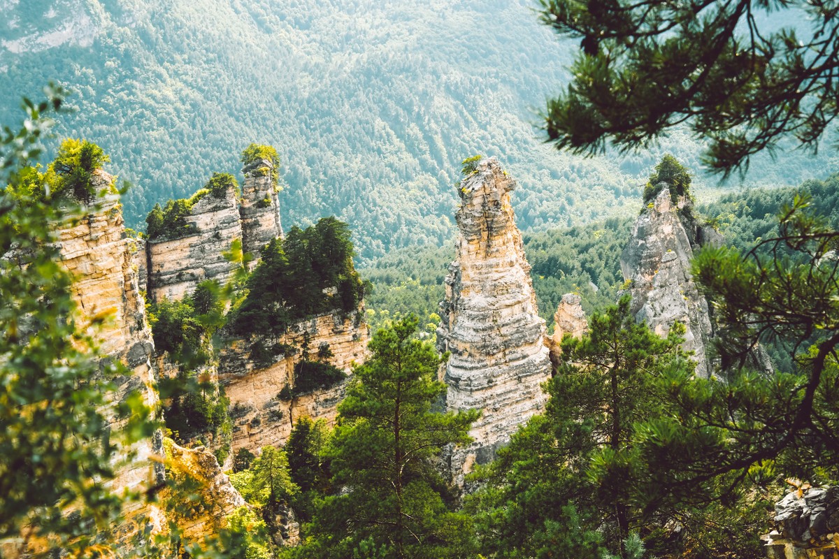 Фото Рача-Лечхуми: природа и кухня Западной Грузии