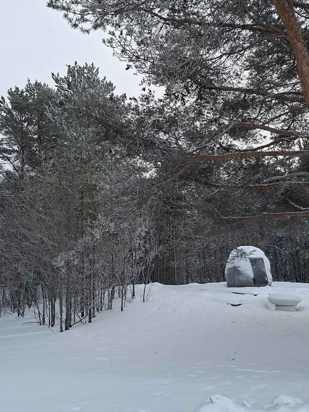 Северодвинск противоречивый (Светлана)