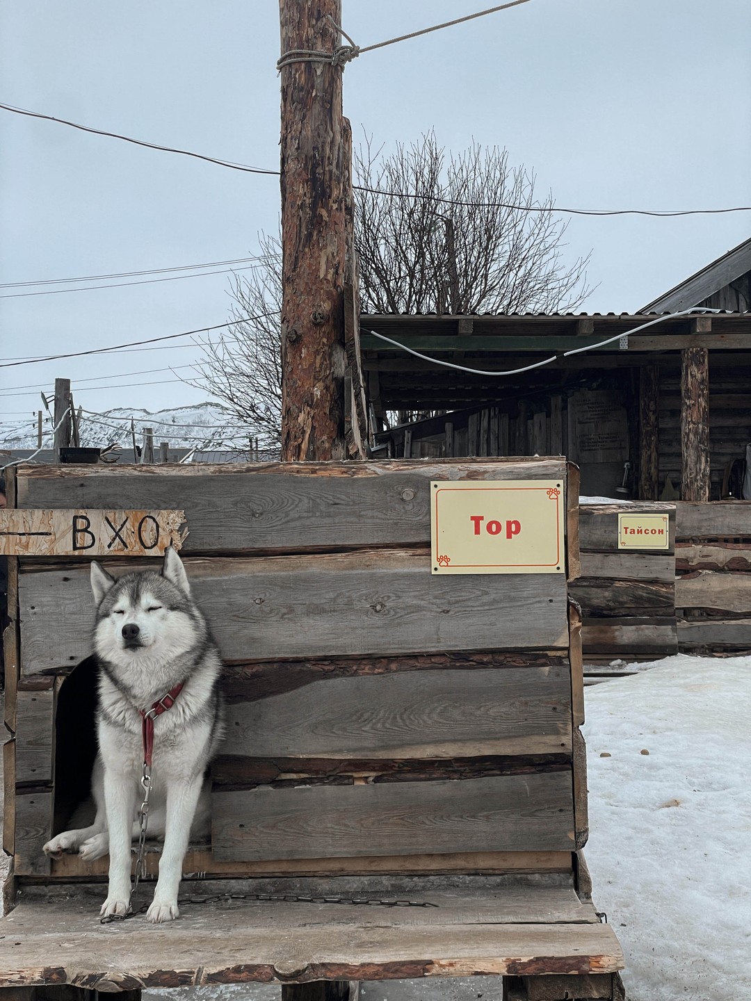 Ездили в тур 01.03, очень переживали за погоду, но она нам не помешала насладиться красотами Териберки!