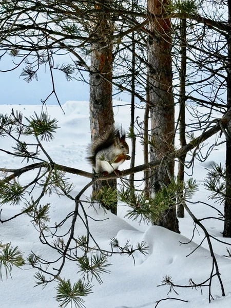Очень приятно впечатлил Северодвинск 👍 экскурсию для нас проводил Сергей, поездка была комфортная с интересными рассказами