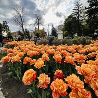 Фото отзыва 3: экскурсия "Золотое кольцо Кавказа: 5 городов за 1 день (из Кисловодска)"