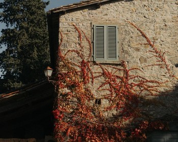 Дегустация и обед на винодельне, прогулка по Греве-ин-Кьянти, ужин у мясника