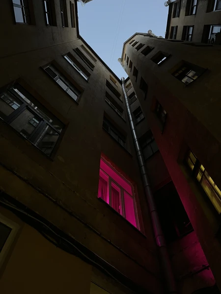 Секреты Петроградской стороны: дворы-колодцы, парадные и доходные дома (Ленский)