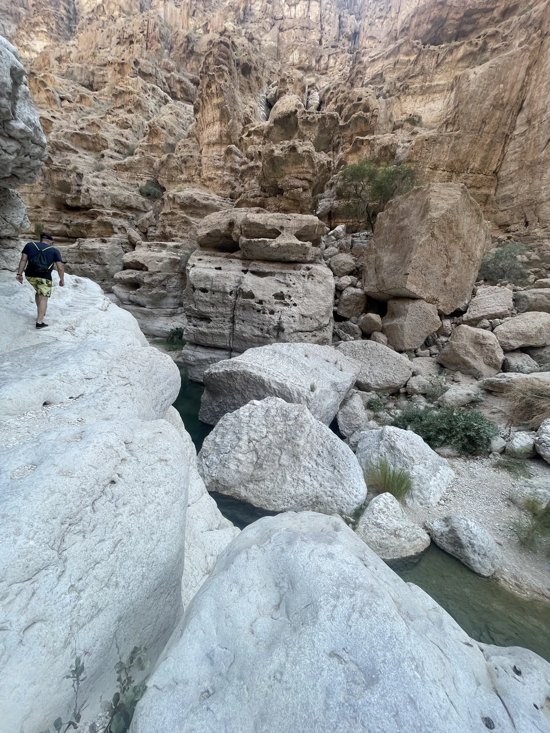 Отличная экскурсия! Вади Шааб просто покорил меня👍Неописуемая красота🔥Маршрут несложный для взрослых,для детей мне кажется только более 10+