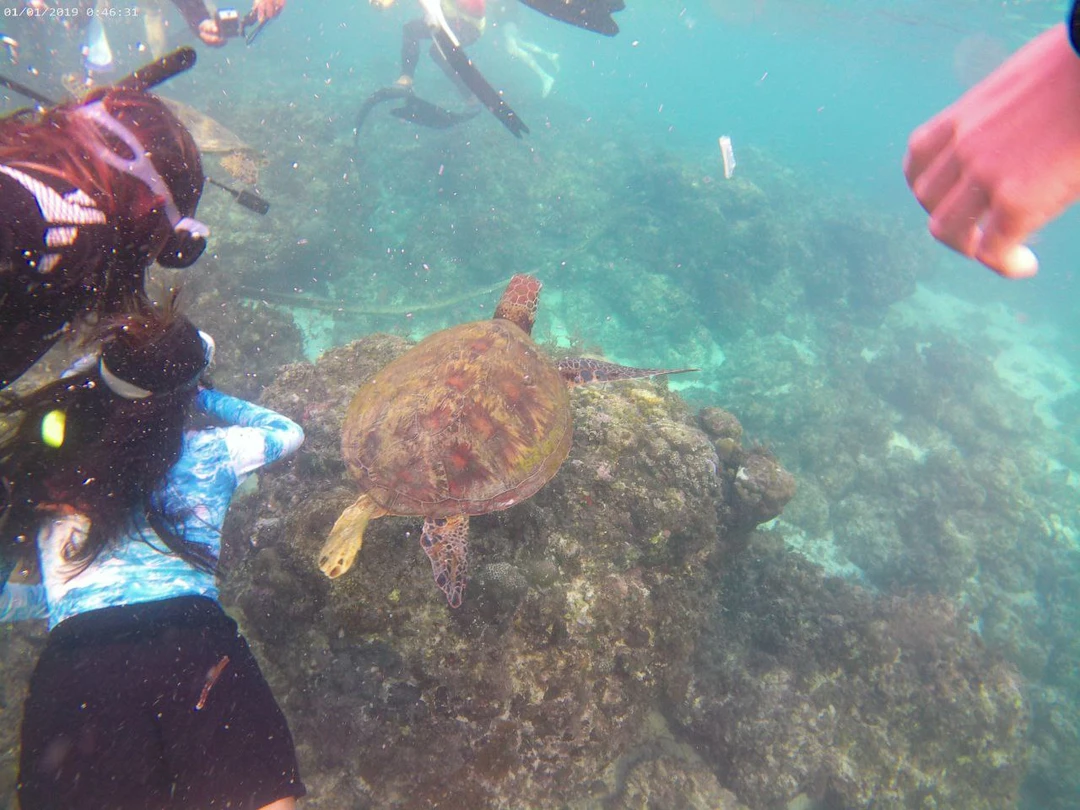 Экскурсия отличная, наша группа была 6 человек. Водитель, он же гид, заехал как и договаривались в