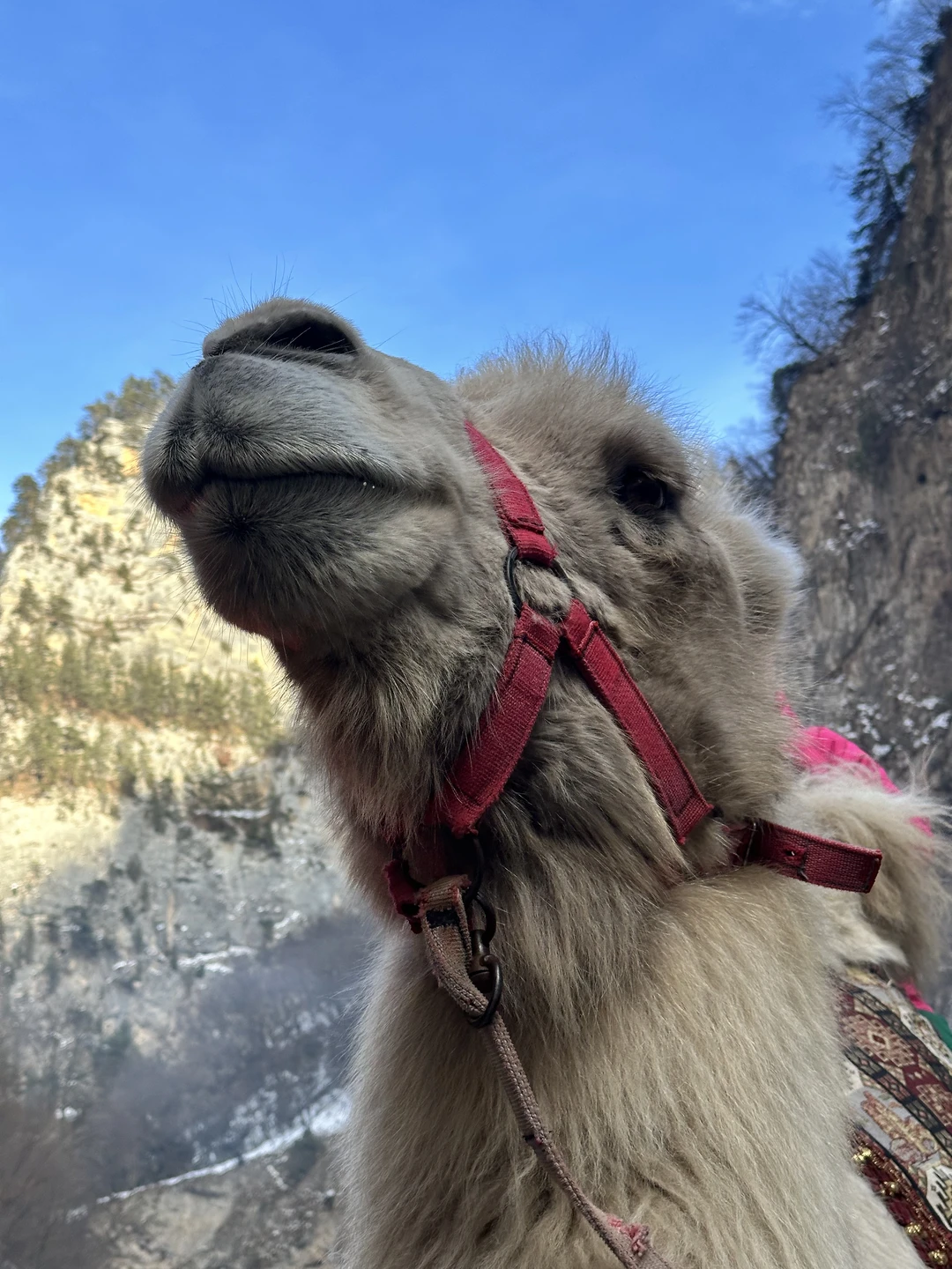 Экскурсия прошла просто великолепно и невероятно! Восхитительные виды и захватывающие дух природные ландшафты, которые поражают своей