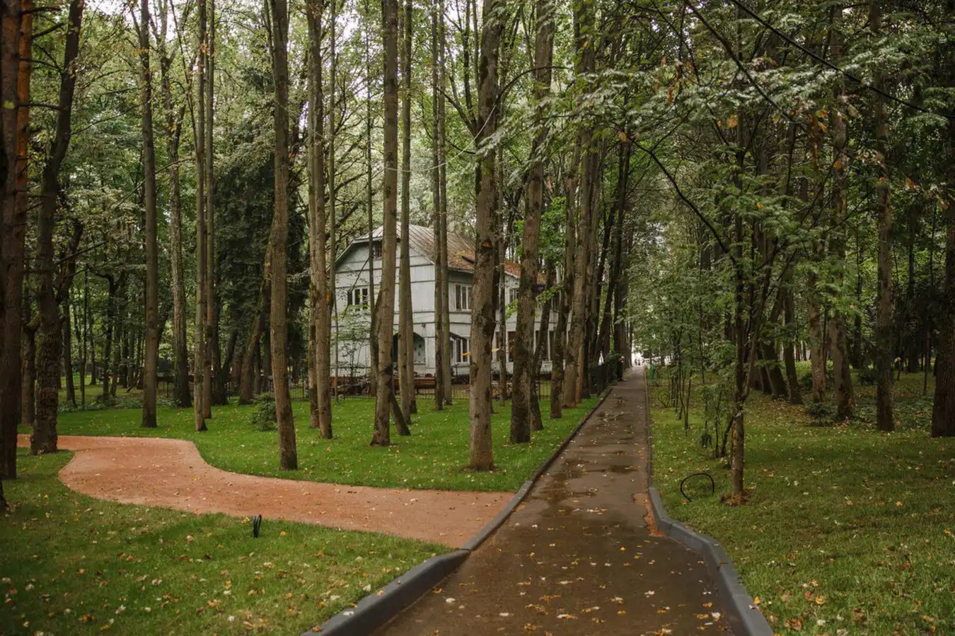 «Шерше ля фам» — ищите женщину в Переделкино (из Москвы)