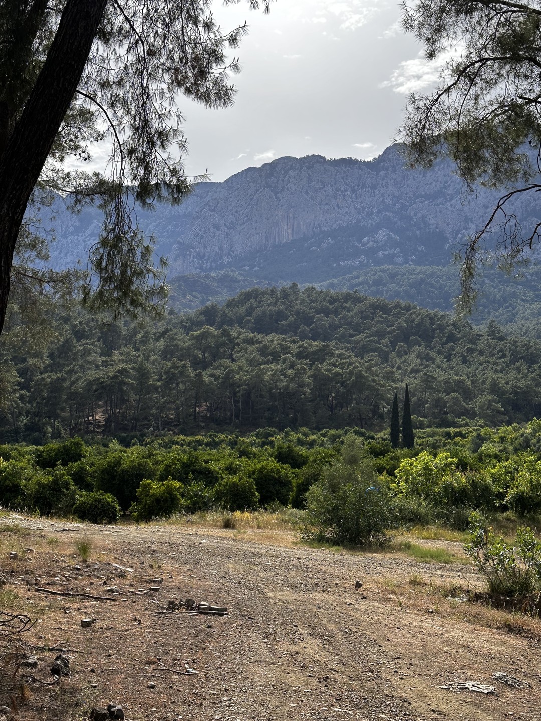 Прикольный опыт вождения квадроцикла