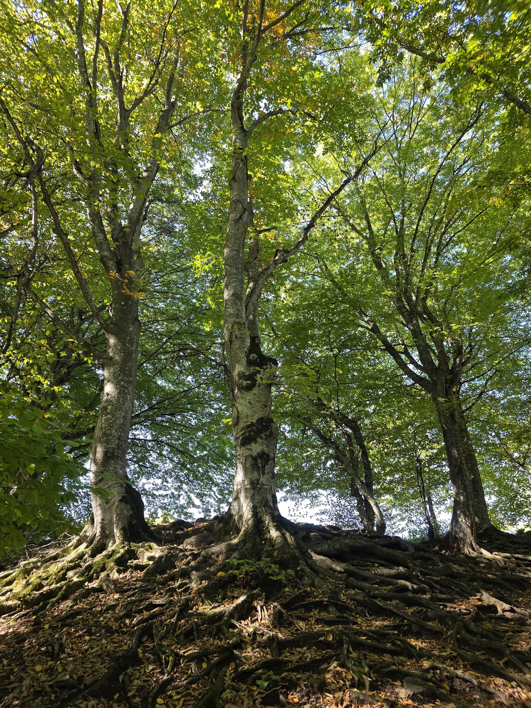 Просто потрясающий день устроил нам Александр! Сначала дорога с потрясаюшими видами на горы и просторы (даже