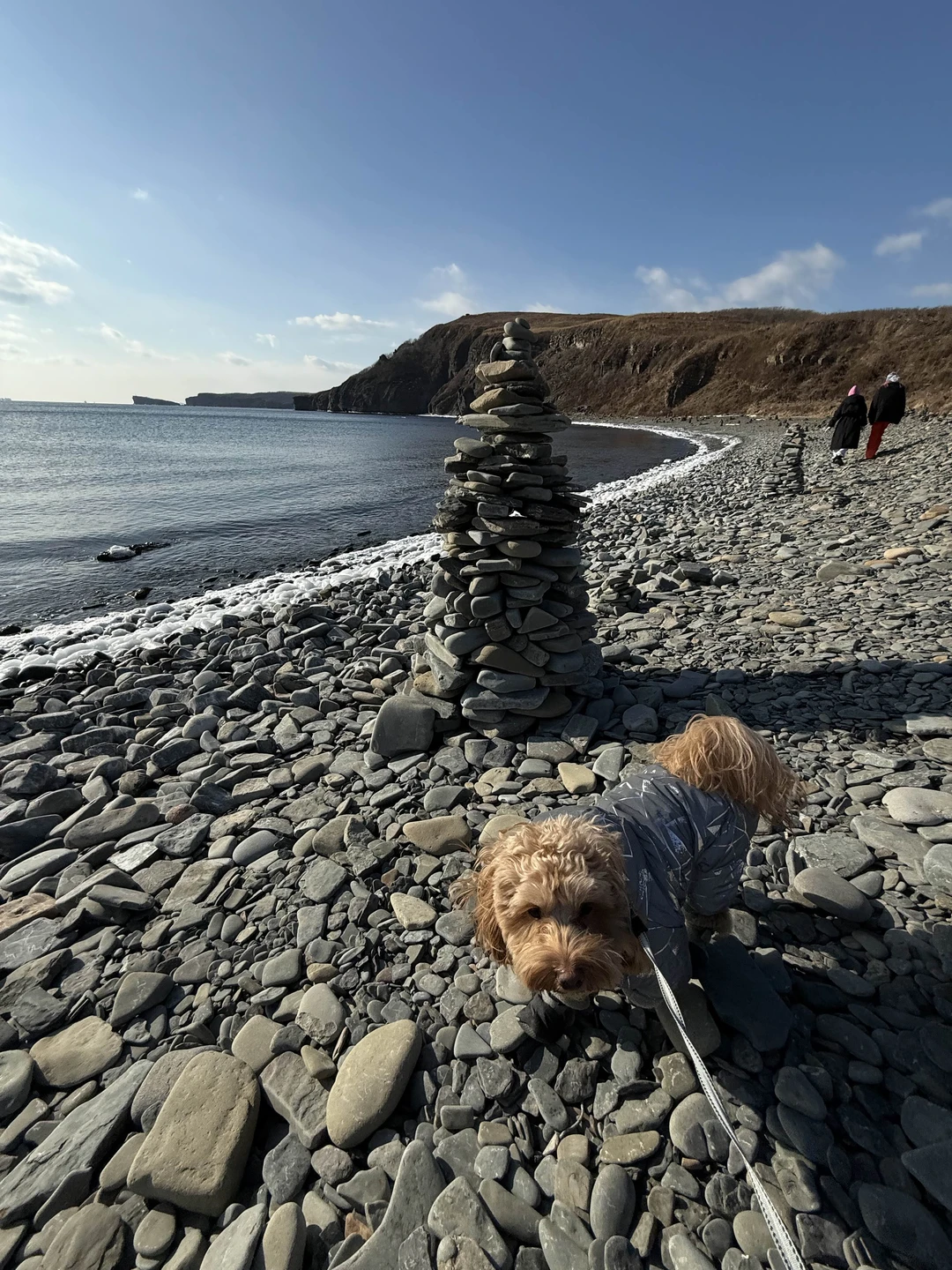 Екатерина, спасибо большое за экскурсию! Маршрут, виды, наполнение информацией и фотографии просто супер 👍👍👍 Отдельное спасибо