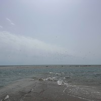 Фото отзыва 3: экскурсия "Каспийский берег и слияние заливов на краю Баку"