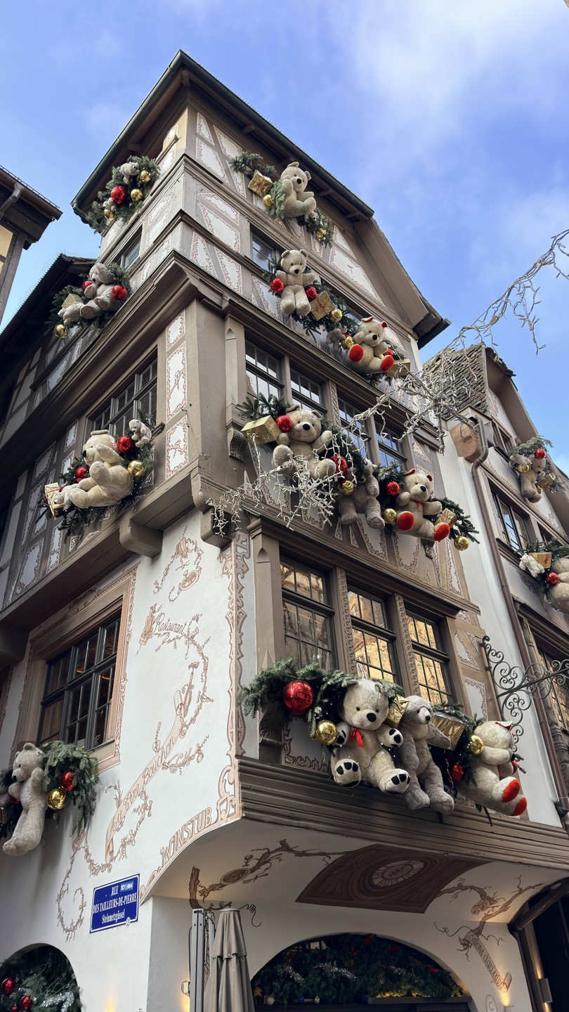 Очаровательный Страсбург в сопровождении очаровательной Марины раскрыл все свои тайны и сокровища. Легко и незаметно пролетели