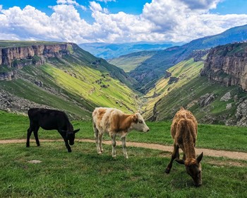 Достопримечательности по дороге в Махачкалу
