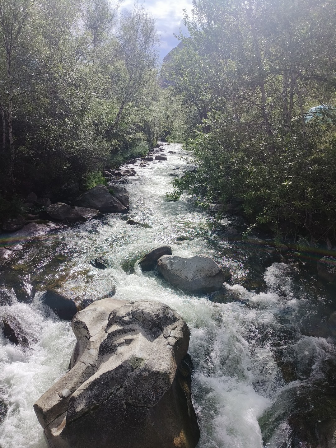 Посетили вместе с гидом Ириной две экскурсии: Чуйский тракт и поездку в Чемал вдоль реки Катуни