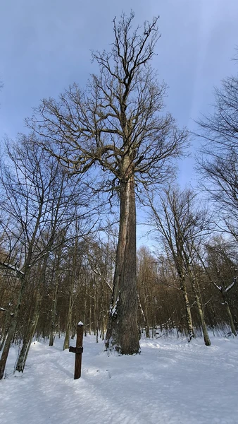 Очень понравилась экскурсия! Гид Иван вёл интересный рассказ во время движения к месту. Первой локаций была