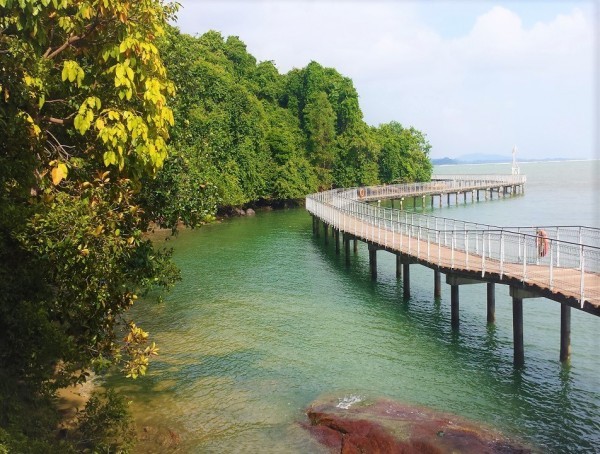 Фото 2 - Экскурсия: "Велопрогулка по острову Pulau Ubin"