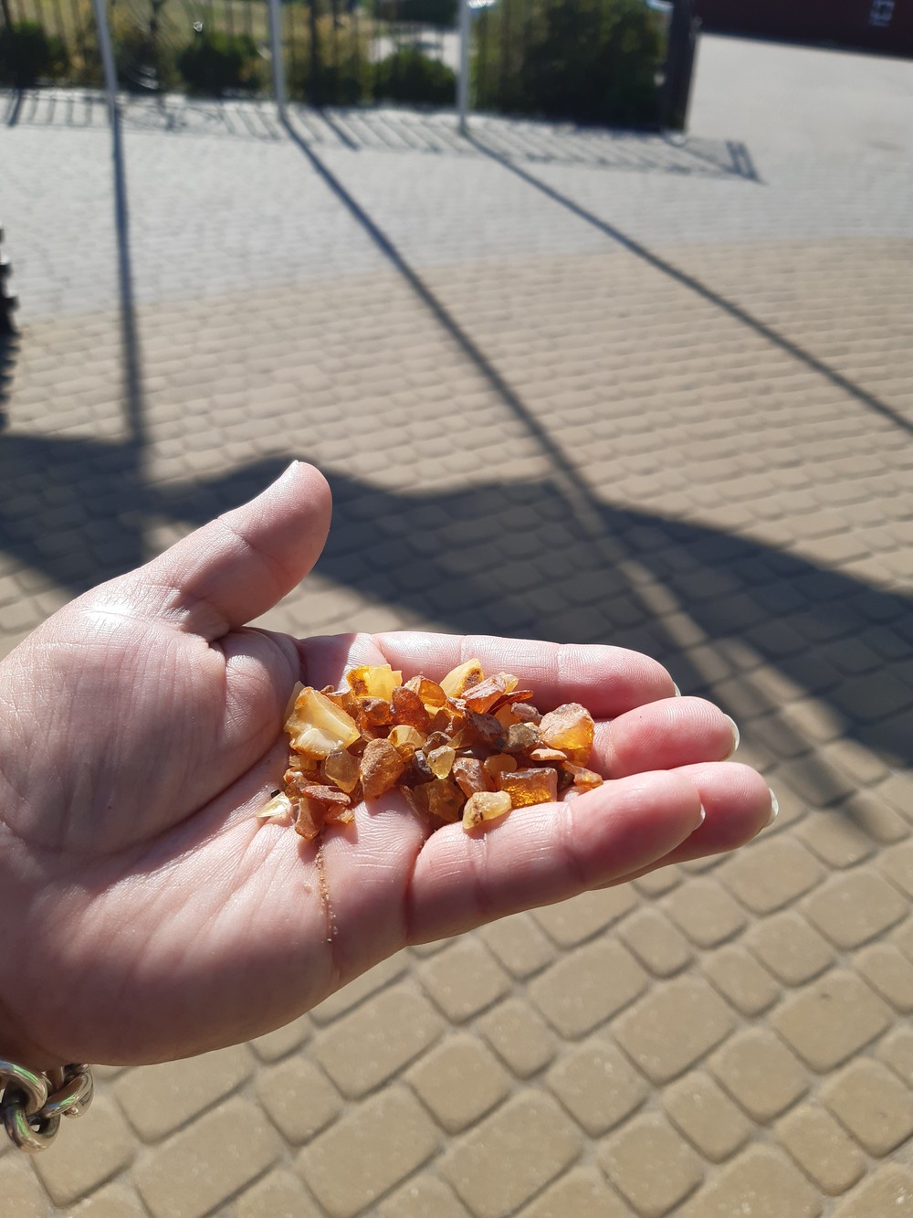 Янтарь, сыр, вино — дары Самбии (2/12)