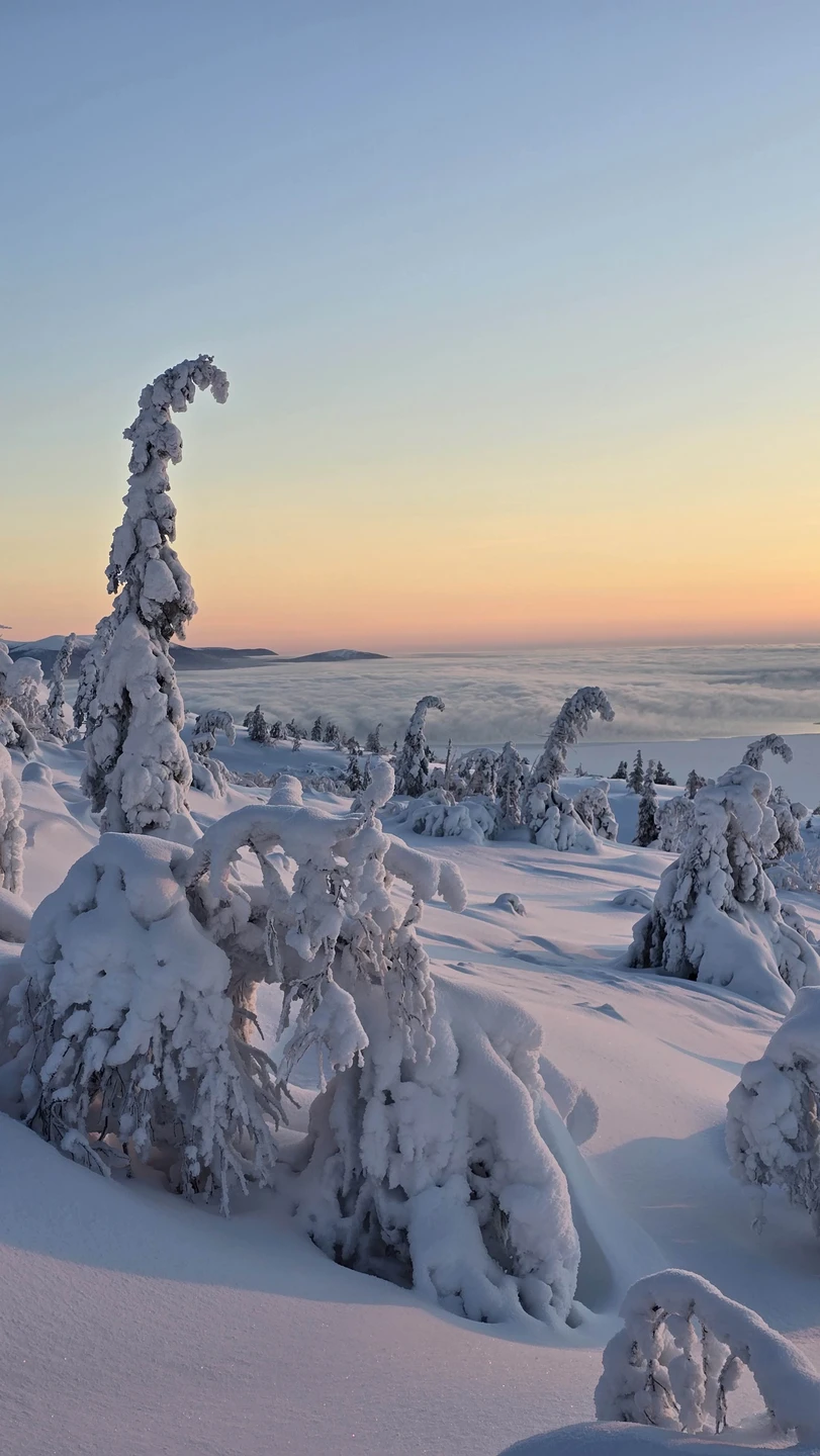 Великолепная организация тура! Все четко и главное безопасно! Получили нереальные эмоции и на флоатинге и в