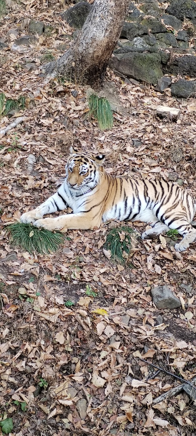 Экскурсия понравилась. Наш гид был хорошим оратором, слушать было не скучно. Единственное не хватило времени в