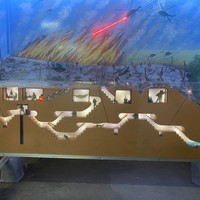 Фото отзыва 1: экскурсия "Партизанские туннели Кучи — отголоски Вьетнамской войны"