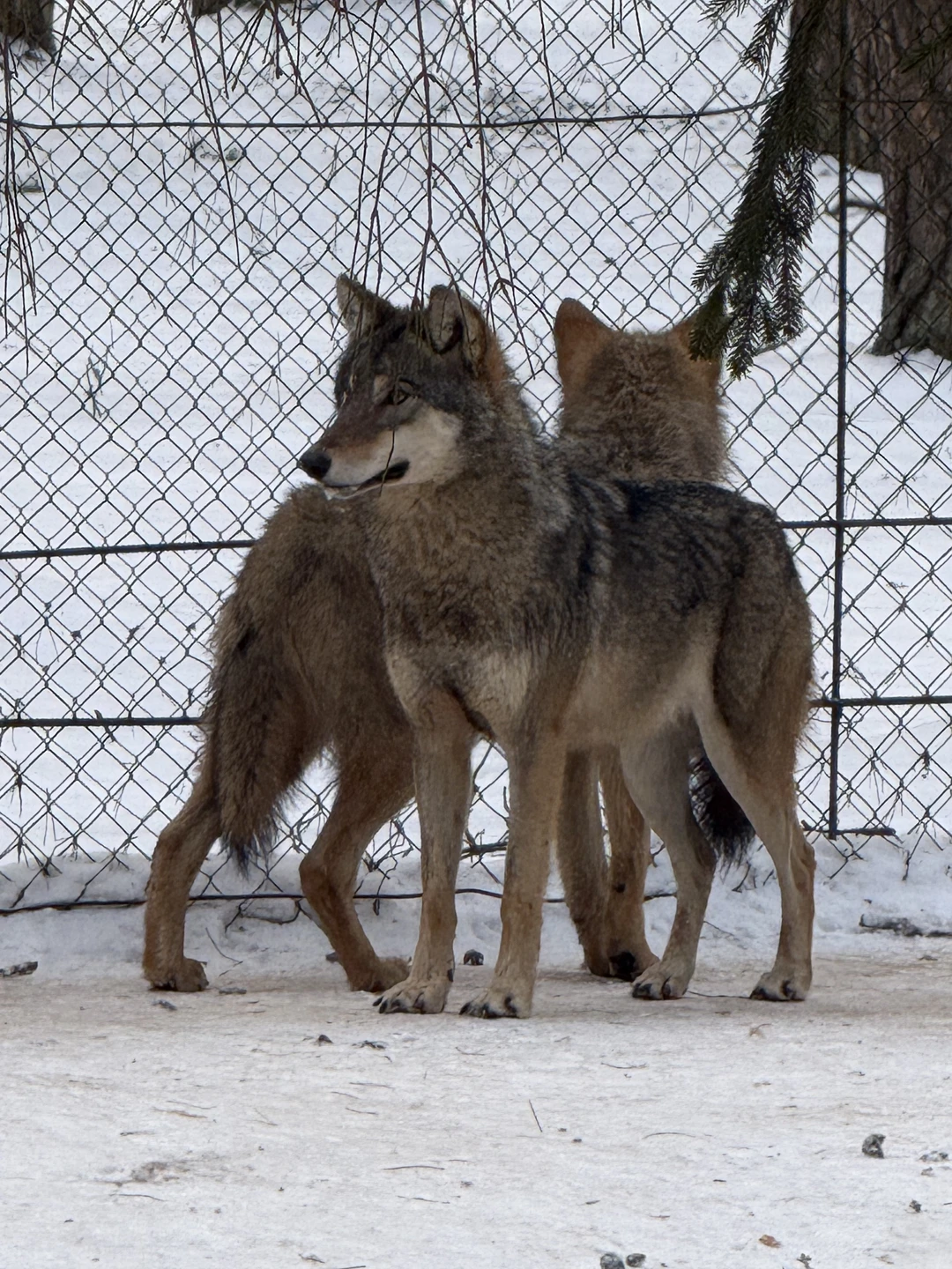 Советуем данного организатора! Было максимально комфортно, уютно и душевно. Спасибо за прекрасный день)