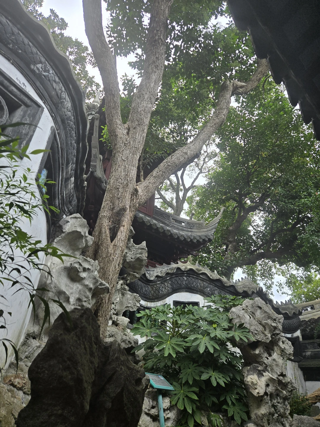 Сердце Шанхая: Старый город и сад Радости (Dmitry)