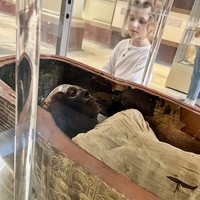 Фото отзыва 2: экскурсия "Большой Египетский музей, Саккара и пирамиды Гизы — из Каира"