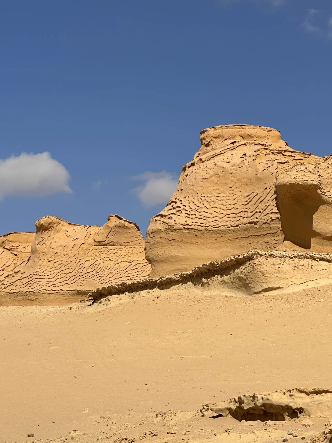 Очень понравилась экскурсия с элементами экстрима в виде катания на сент борде по барханам и экстремального