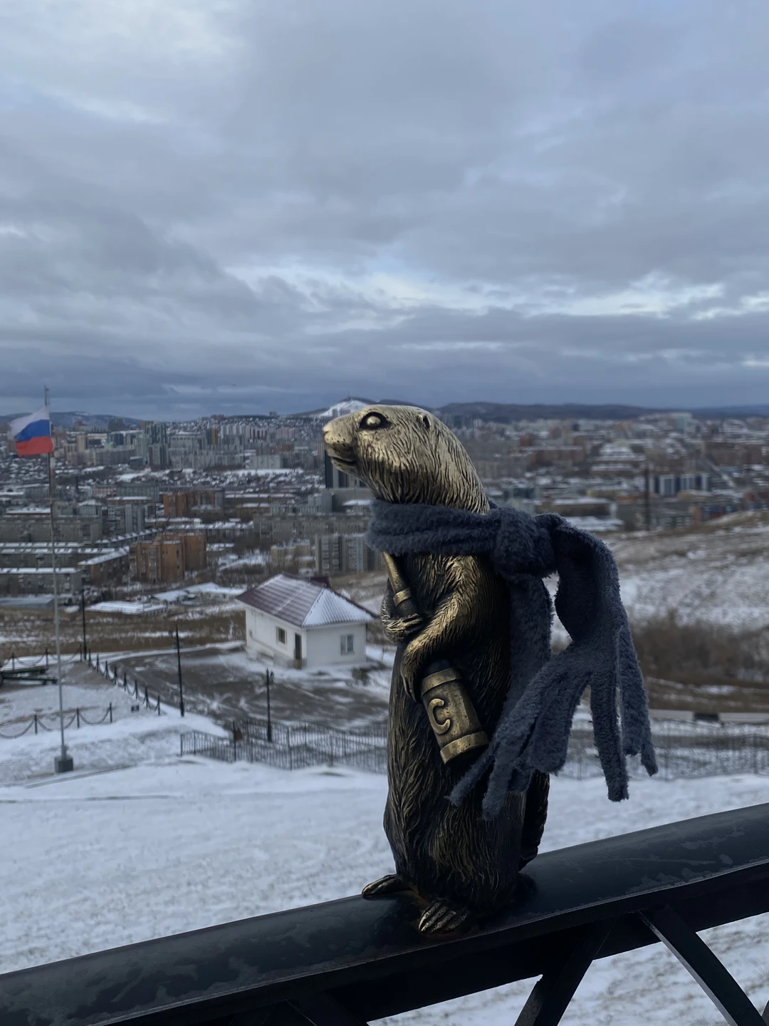 Мне очень понравилась экскурсия по Красноярску, мы не смогли заехать на статую Иисуса, но посетили Дивногорск,