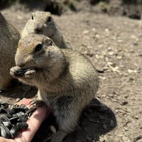 Фото отзыва 5: экскурсия "Джилы-Су за 1 день: незабываемый джип-тур"