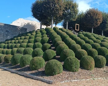 Долина Луары, возвращение в Париж