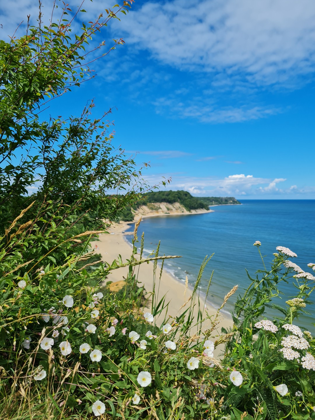 Отличный познавательный маршрут с Саввой, что даже юный слушатель вызвался оставить отзыв: