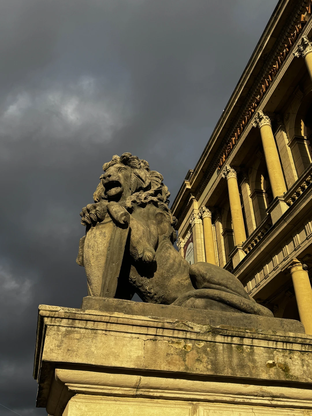 Экскурсия проходила на комфортном автобусе, что немаловажно окна были чистые, что дало возможность сделать красивые фотографии, даже через окно