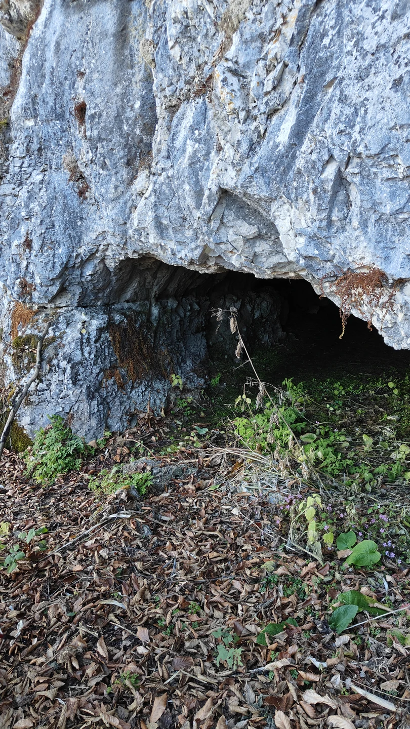 Отличная экскурсия! Посетили 3 локации: пещера, глаз дьявола и ущелье. Увидели пастбище и лошадей. В пещере