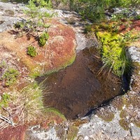 Фото отзыва 1: экскурсия "По Ладожским шхерам на маленькой лодке"