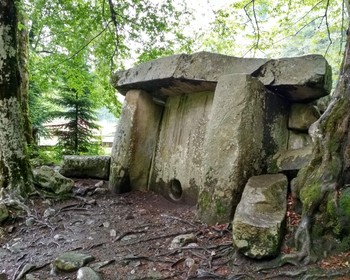 Посёлок Гузерипль и Гранитный каньон, Кавказский заповедник