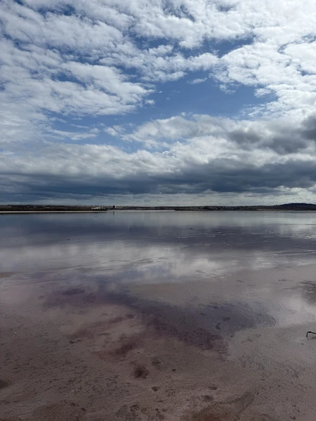 хорошая экскурсия. гид много рассказал про историю мест и историю Азербайджана. был очень доброжелательным. отвечал на все вопросы. рекомендую