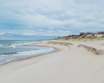 Куршская коса