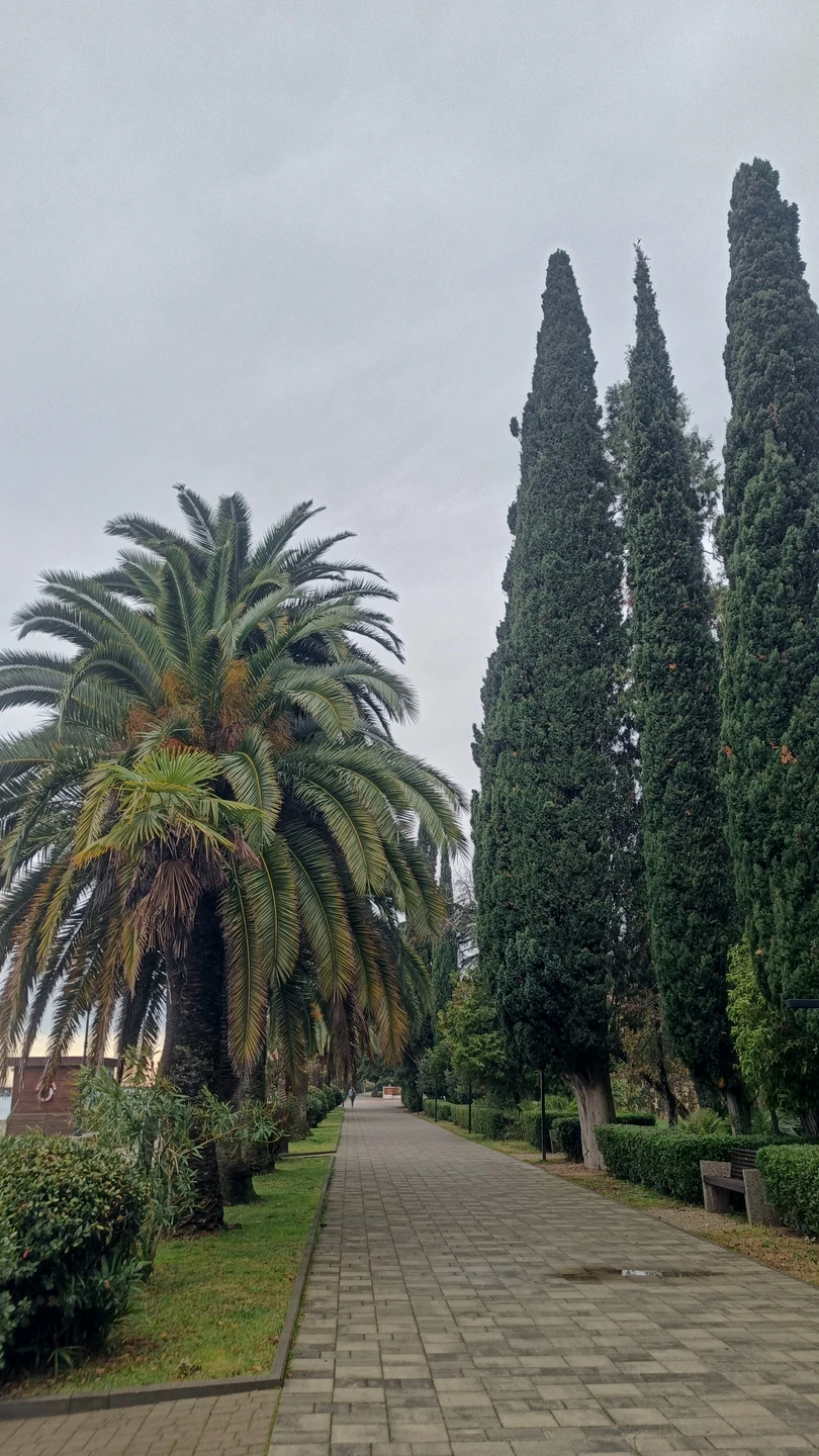 Нам очень повезло с гидом. Петрос воспитанный, внимательный, вежливый гид, рассказывал много интересных фактов, водит машину